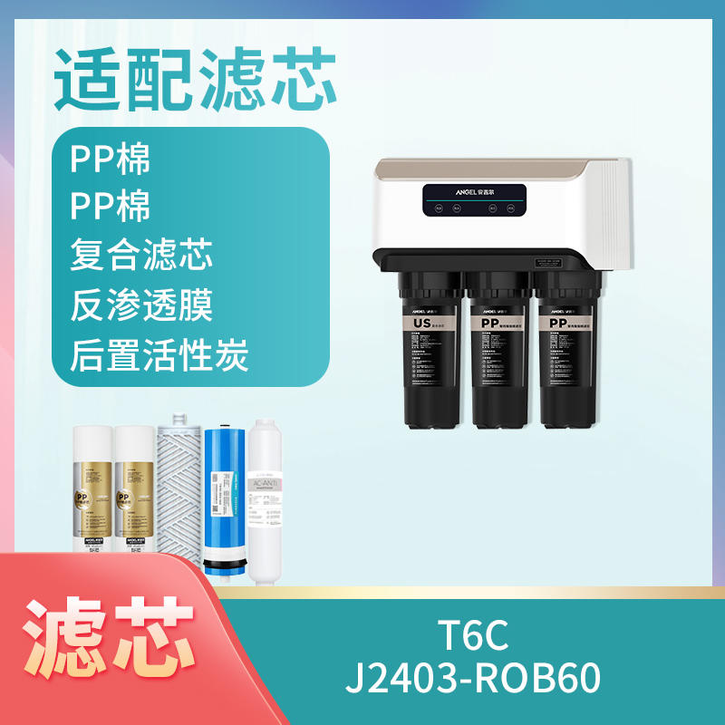 T6C、J2403-ROB60滤芯