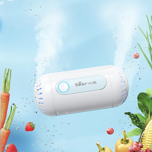 小熊（Bear） 果蔬清洗机 洗菜机蔬菜净化食物双头净化器杀菌灭菌机 灭菌99.9% 商品图0