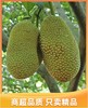 榴莲蜜海南原产地直发不打药不催熟8-14斤果 商品缩略图3