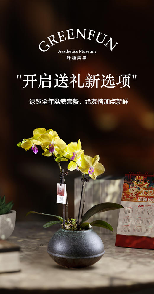 365长伴套餐 商品图0