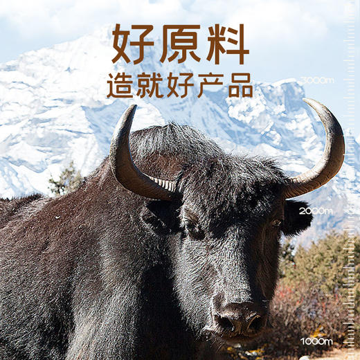 【牦牛骨肽】国肽添加牦牛骨牛骨胶原蛋白肽350g特殊膳食 运动营养食品（耐力类） 国肽直营 商品图1