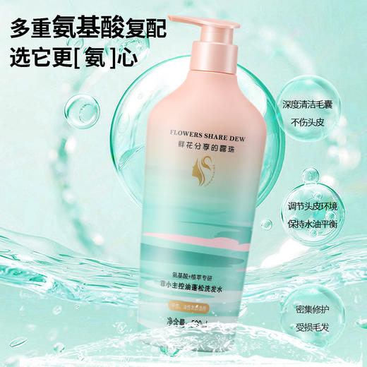 菲小主 控油蓬松洗发水500ml 商品图1