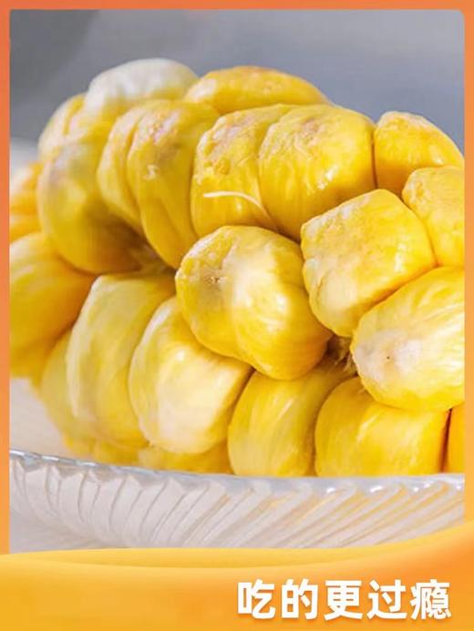 榴莲蜜海南原产地直发不打药不催熟8-14斤果 商品图4