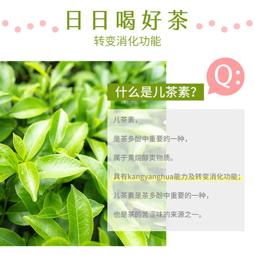 世界选物官儿茶素抹茶粉富含儿茶素乳酸菌一盒30袋 商品图5