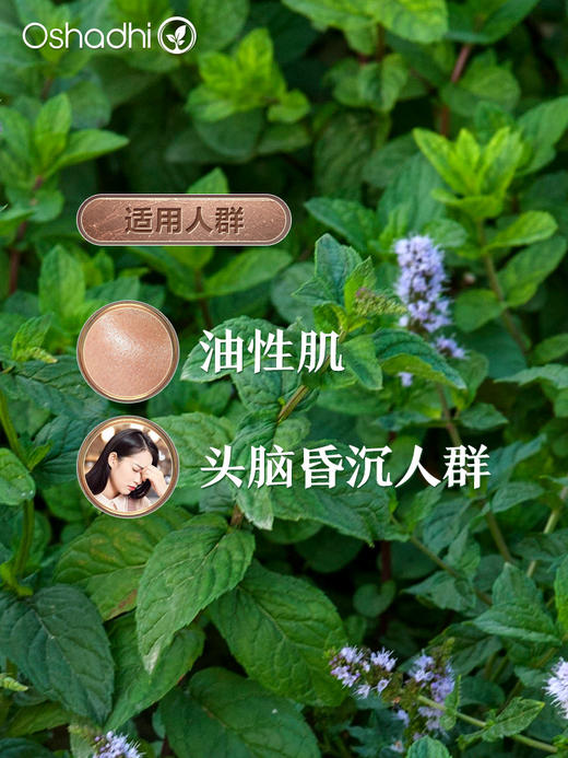 德国O家胡椒薄荷精油 单方精油 稀释做面部精华 身体按摩油 商品图4