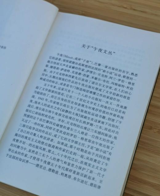 午夜文丛：《高大的金发女郎》《望远镜：新小说新一代作家作品选》《史前史:新小说新一代作家作品选2》，[法]让.艾什诺兹、埃里克.舍维拉尔、帕.德维尔等著，湖南文艺出版社1999-2002年一版一印， 商品图7