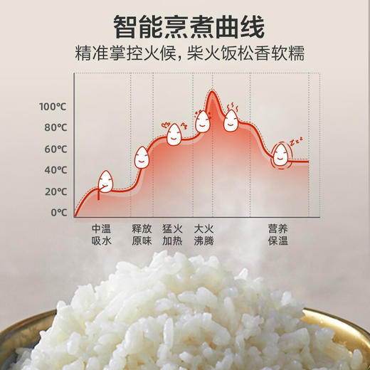 小熊（Bear） 电饭煲 智能预约不粘锅内胆快煮柴火饭汤粥 迷你小2-3人家用多功能电饭锅 2升2-3人 DFB-P20N5蓝色 商品图6