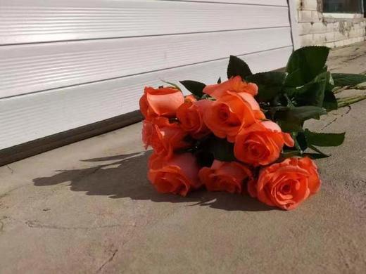 自带光芒的玫瑰花束（拼团） 商品图3