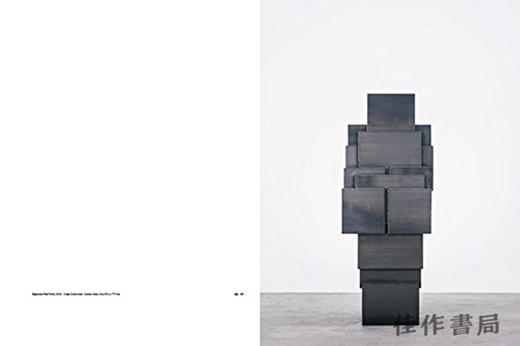 Antony Gormley：Expansion Field / 安东尼·葛姆雷：扩展场 商品图1