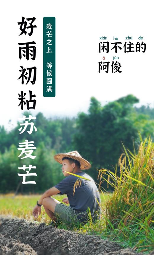 田晓东测试预售实物商品啊啊啊啊啊啊2 商品图0