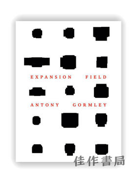 Antony Gormley：Expansion Field / 安东尼·葛姆雷：扩展场