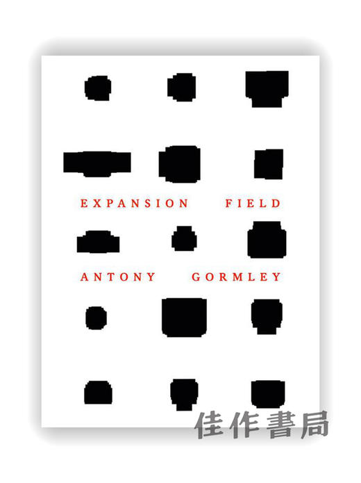 Antony Gormley：Expansion Field / 安东尼·葛姆雷：扩展场 商品图0