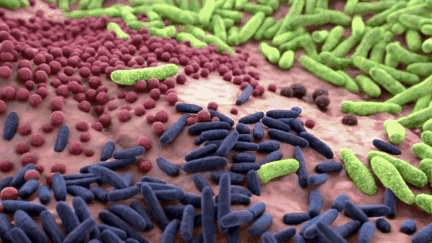  一人腳气全家受罪🤮美国特研“腳气急救水”：一喷消灭腳臭/瘙庠，烂腳丫连根拔 