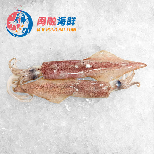 鱿鱼 /斤 商品图0