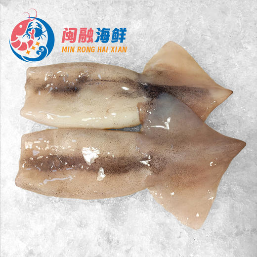 冰鲜鱿鱼筒 /斤 商品图0