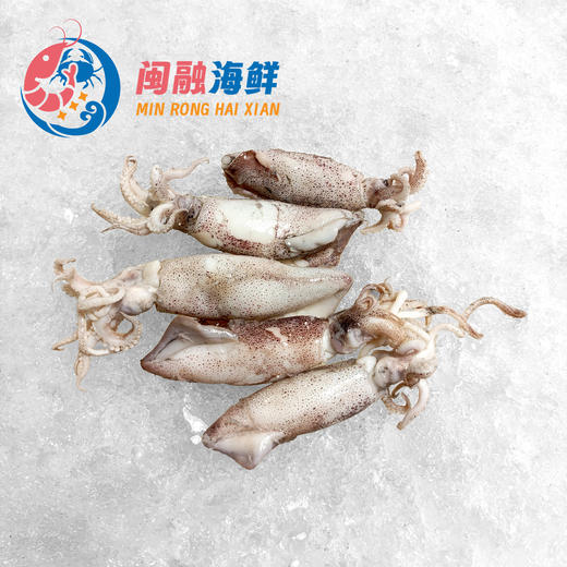 熟小管 /斤 商品图0