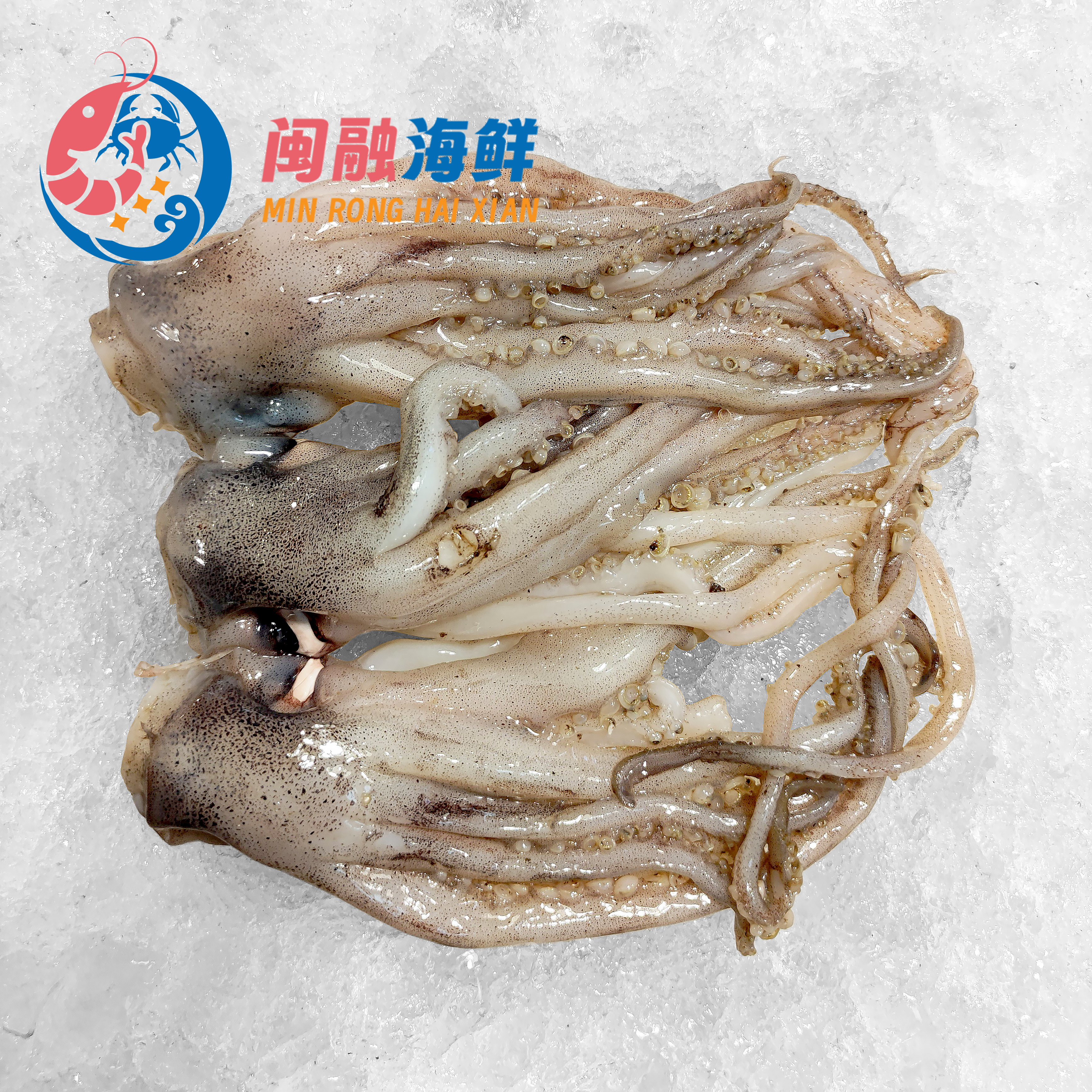 冰鲜鱿鱼头 /斤