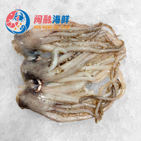 冰鲜鱿鱼头 /斤