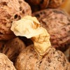 八享时云南薄皮核桃500g(T) 商品缩略图7