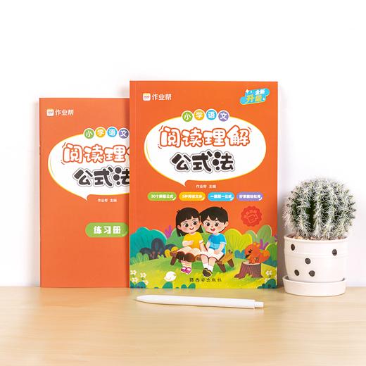 小学语文阅读理解公式法  商品图3