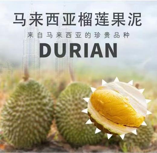 马来西亚冷冻金枕榴莲肉果泥榴莲果肉树上熟新鲜榴莲千层蛋糕榴莲芝士披萨烘焙原料猫山王D197果泥 商品图0