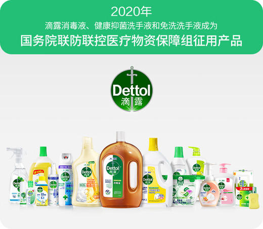 滴露（Dettol）健康抑菌洗手液柑橘500g瓶 消毒抑菌 儿童家庭补充装替换清爽去油 商品图1