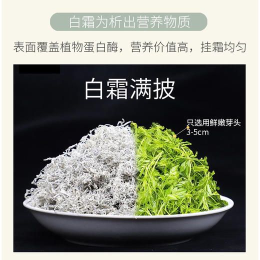 恩施藤茶2025新茶 芽尖龙须罐装富硒土家野生莓茶 天然正品茶 商品图2