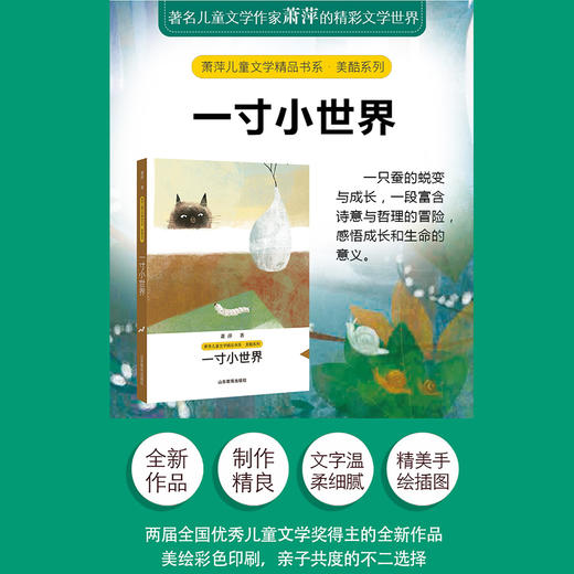 一寸小世界 商品图1