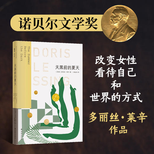 天黑前的夏天 商品图4