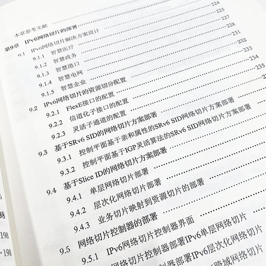 IPv6网络切片：使能千行百业新体验 华为iIPV6数字中国网络切片5G网络架构数据通信IP网络技术SRv6网络资源预留 商品图2