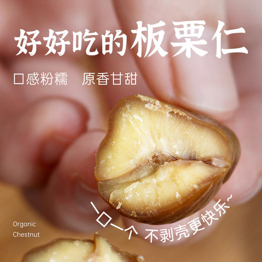 璞匠即食有机甘栗仁熟制去皮去壳软糯即食干栗子休闲零食板栗肉 商品图1