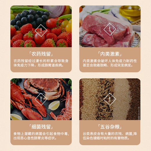 【分仓直发包邮】康巴赫果蔬清洗机 KBH-DGS1301 商品图2