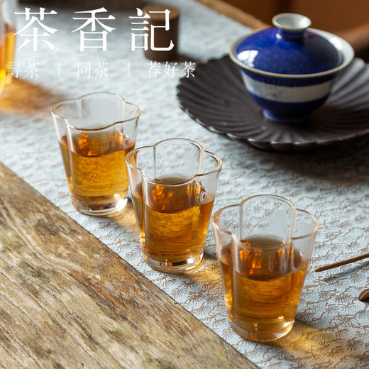 茶香记 药香黑砖995 甜醇顺滑 仓储干净 可闷可煮 安化黑茶 商品图5