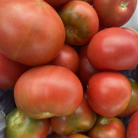 京彩8号草莓柿子🍅，有机种植，不打农药无公害，3斤/份