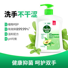 滴露（Dettol）健康抑菌洗手液植物呵护500g 消毒抑菌99.99% 儿童适用不含酒精