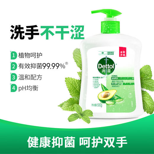 滴露（Dettol）健康抑菌洗手液植物呵护500g 消毒抑菌99.99% 儿童适用不含酒精 商品图0