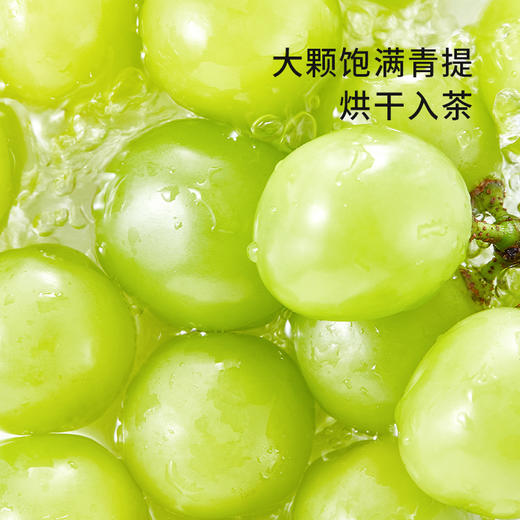 【65任选4件】CHALI青提乌龙袋泡茶7包装 商品图3
