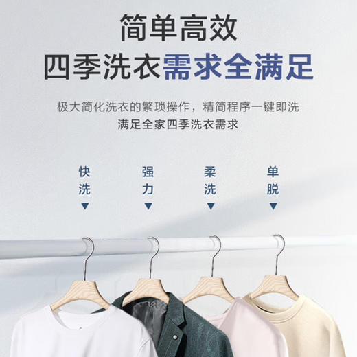 海尔（Haier）洗衣机 XQB80-M106 商品图3