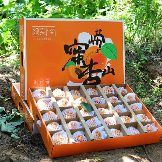 飨实崂山蜜杏，4.6-5斤礼盒装】三十年耕耘，十年品牌路，铸就非凡蜜杏，崂山山地种植，山泉水灌溉，软糯香甜，甜蜜多汁 商品图1
