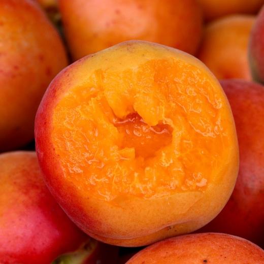 飨实崂山蜜杏，4.6-5斤礼盒装】三十年耕耘，十年品牌路，铸就非凡蜜杏，崂山山地种植，山泉水灌溉，软糯香甜，甜蜜多汁 商品图7