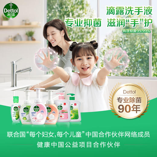 滴露（Dettol）健康抑菌洗手液滋润倍护500g 消毒抑菌99.99% 儿童适用不含酒精 商品图1