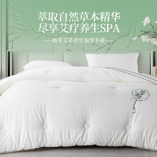 多喜爱 植萃艾草养生加厚冬被cs 商品图0