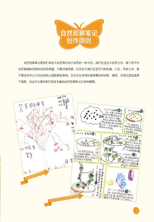 【自然观察笔记3】自然观察笔记（第三届） 商品图5