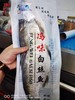 950-1000半片白条鱼 商品缩略图1