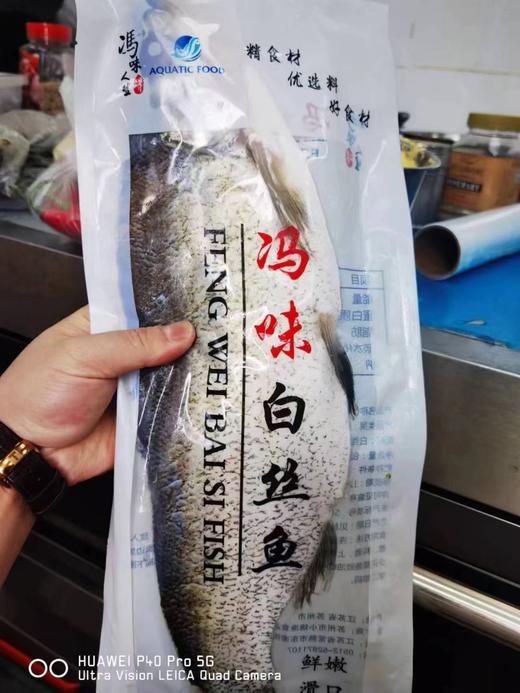 950-1000半片白条鱼 商品图1