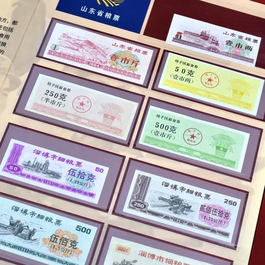 预定！《中华票证大全》珍藏册 商品图4