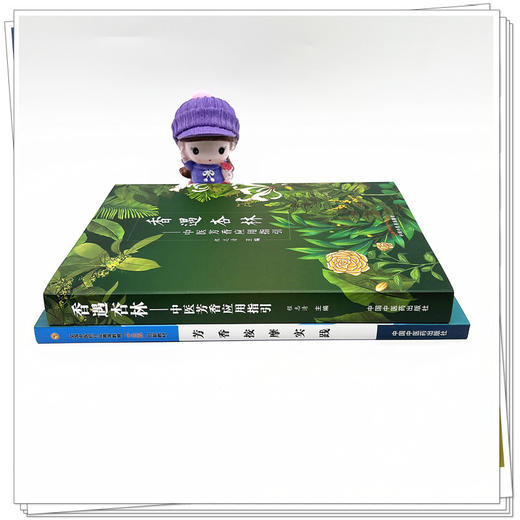 套装2本香遇杏林 中医芳香应用指引+芳香按摩实践（十三五创新教材） 程志清 著 中国中国中医药出版社  芳香疗法手法治疗植物书籍 商品图3