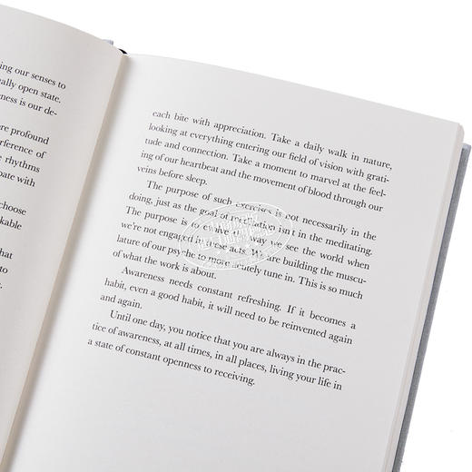 预售 【中商原版】里克 鲁宾 创意行为 存在即答案 创造性行为 艺术与生活 The Creative Act A Way of Being 英文原版 Rick Rubin 商品图3