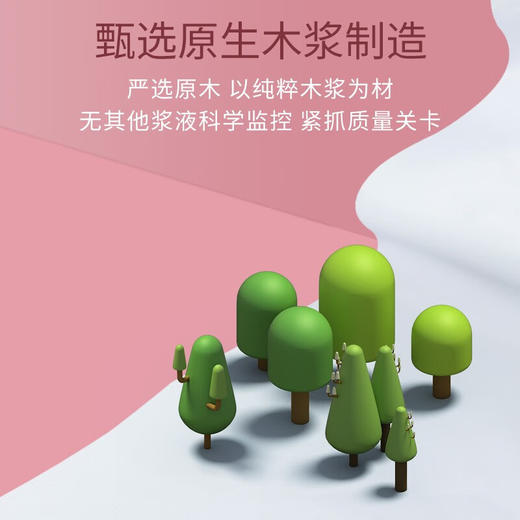 清风花语系列卷纸 3层204段/卷*1*32卷筒卫生纸 A201GZZ （整箱装） 商品图4