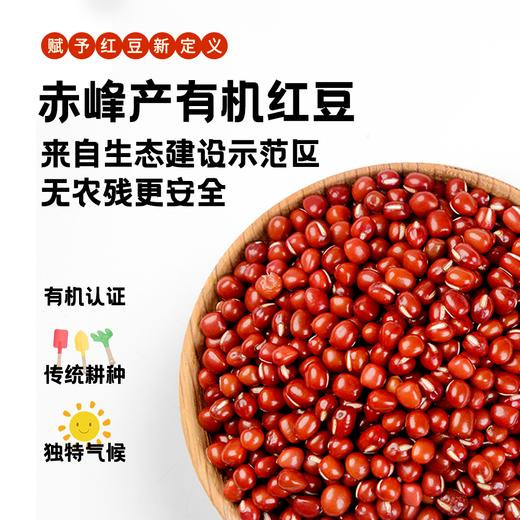 内蒙古赤峰有机红豆 商品图0